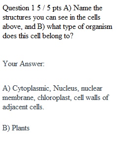 Lab 5 Quiz